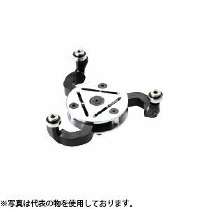 緑であること活動の領域