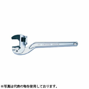 緑であること活動の領域