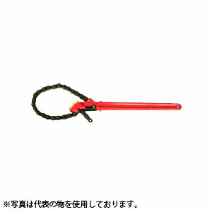 緑であること活動の領域