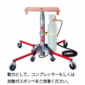 緑であること活動の領域