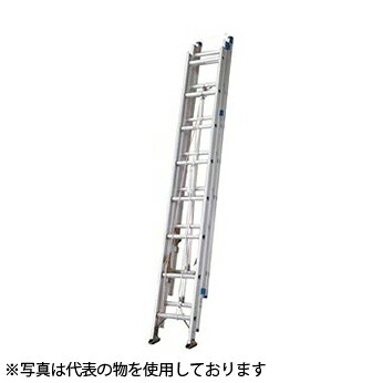 緑であること活動の領域
