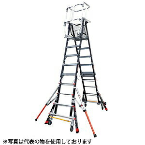 緑であること活動の領域