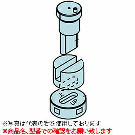 緑であること活動の領域