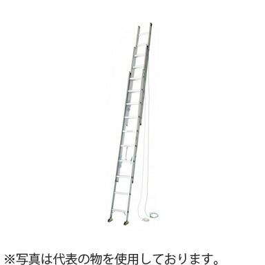 緑であること活動の領域