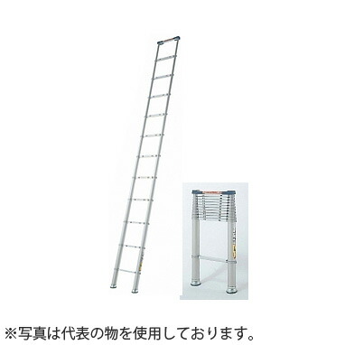 緑であること活動の領域