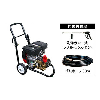 緑であること活動の領域