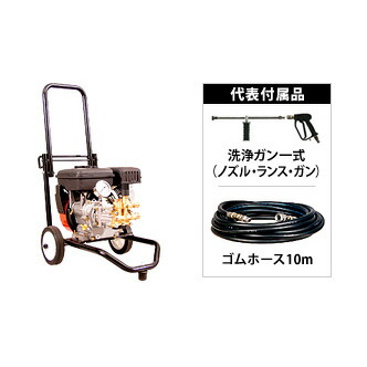 緑であること活動の領域