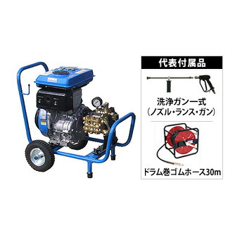 緑であること活動の領域
