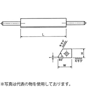 緑であること活動の領域