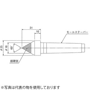 緑であること活動の領域