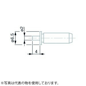 緑であること活動の領域