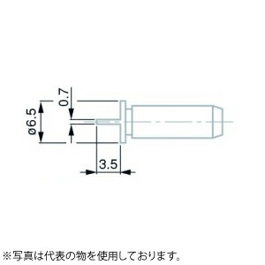 緑であること活動の領域