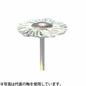 緑であること活動の領域