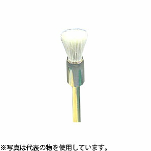 緑であること活動の領域