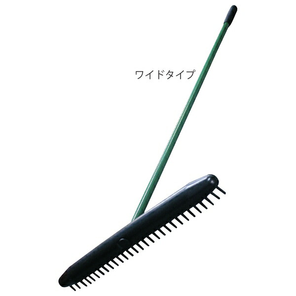緑であること活動の領域