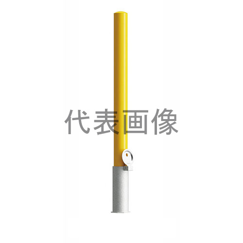 緑であること活動の領域