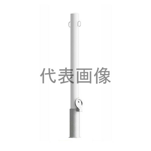 緑であること活動の領域