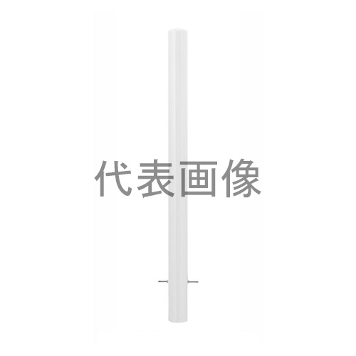 緑であること活動の領域