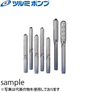 緑であること活動の領域