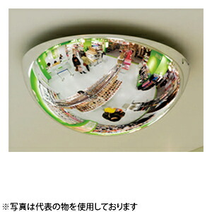 緑であること活動の領域