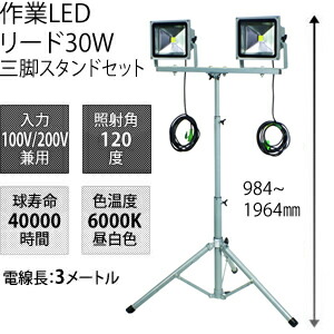 緑であること活動の領域