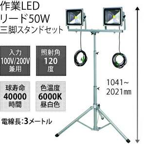 緑であること活動の領域