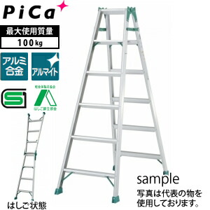 緑であること活動の領域