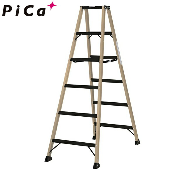 pica-lm-180gb.jpg