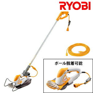 緑であること活動の領域