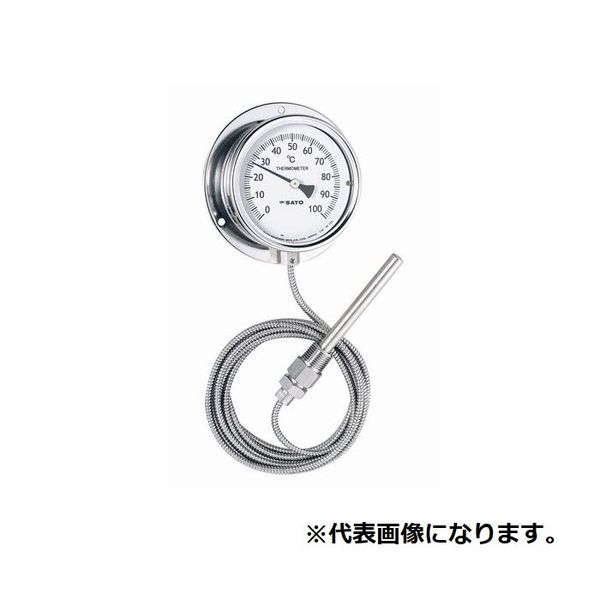 緑であること活動の領域