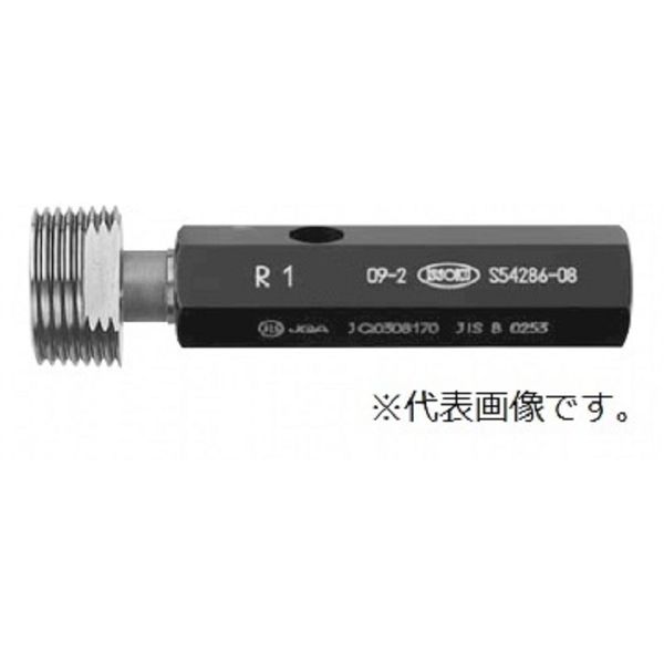 緑であること活動の領域
