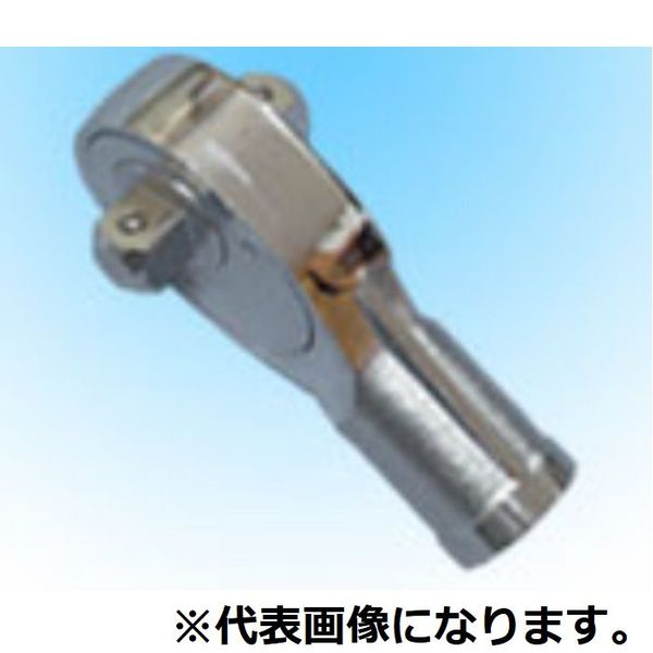 緑であること活動の領域