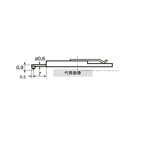 緑であること活動の領域