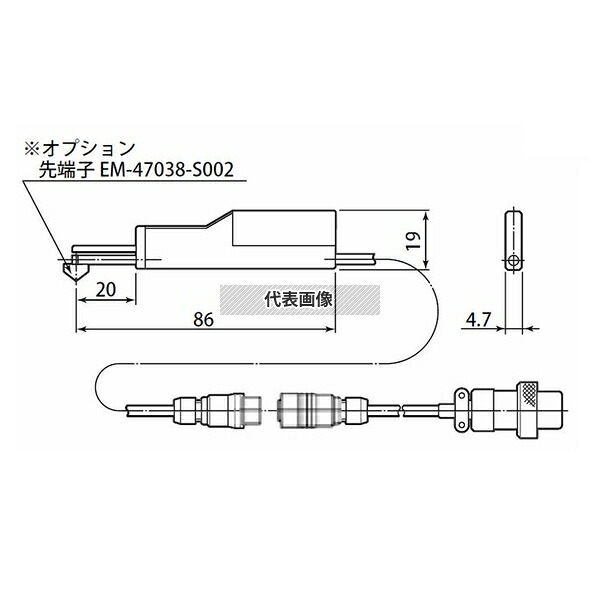 緑であること活動の領域