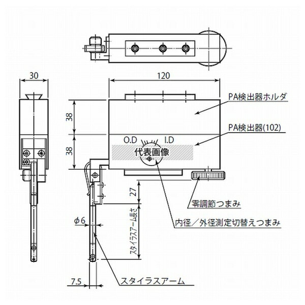 緑であること活動の領域