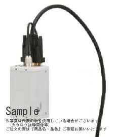 緑であること活動の領域