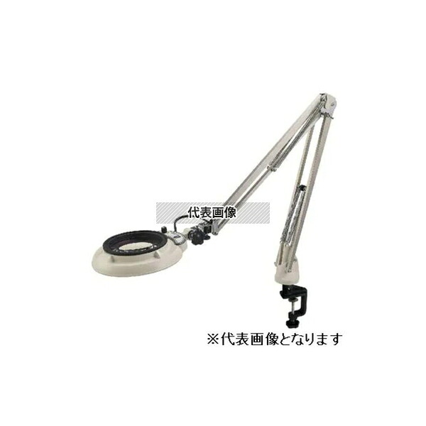 緑であること活動の領域