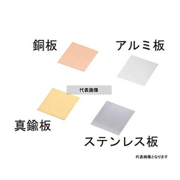 緑であること活動の領域