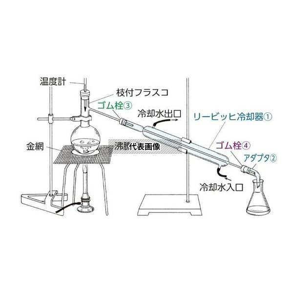 緑であること活動の領域