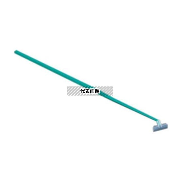 緑であること活動の領域