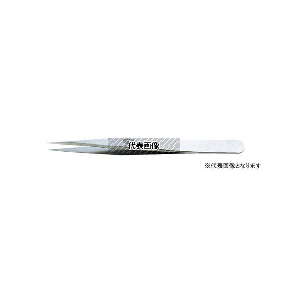 緑であること活動の領域