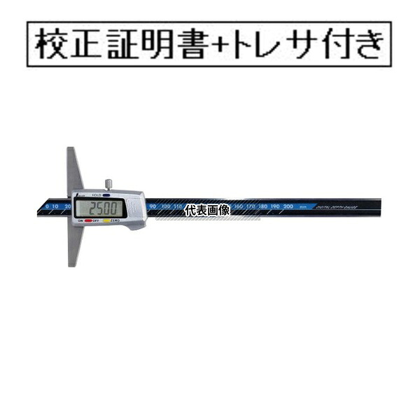 緑であること活動の領域