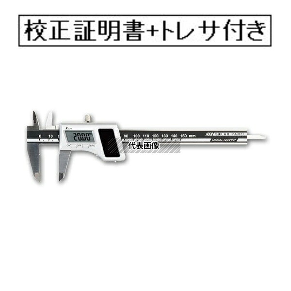 緑であること活動の領域