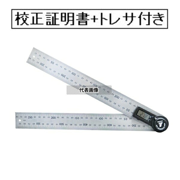 緑であること活動の領域