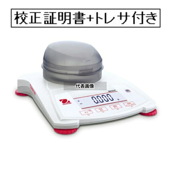 緑であること活動の領域