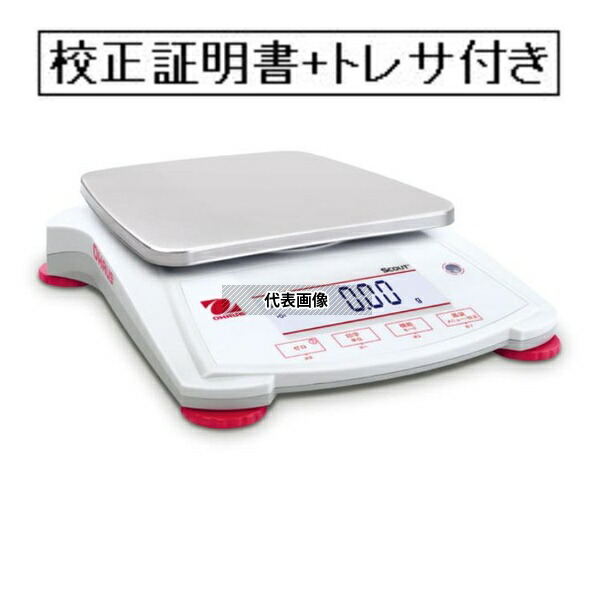 緑であること活動の領域
