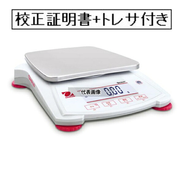 緑であること活動の領域