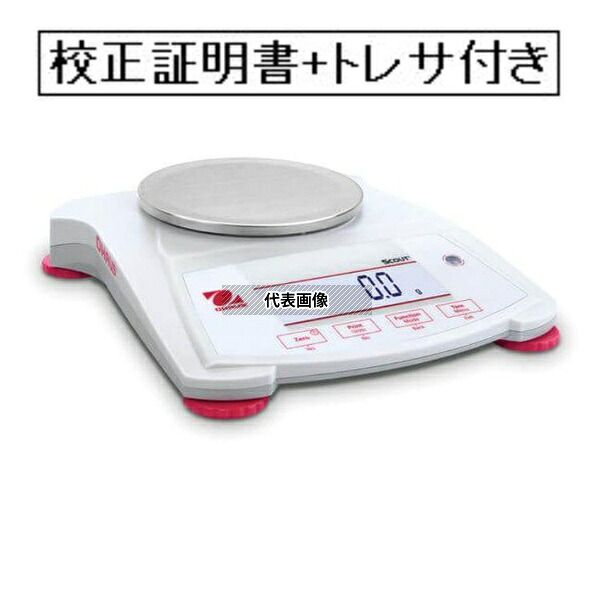 緑であること活動の領域
