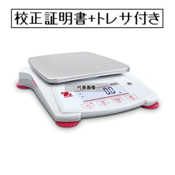 緑であること活動の領域