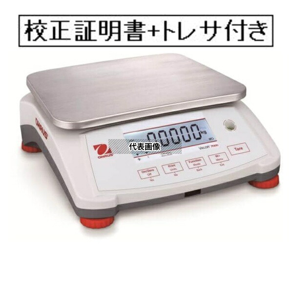 緑であること活動の領域